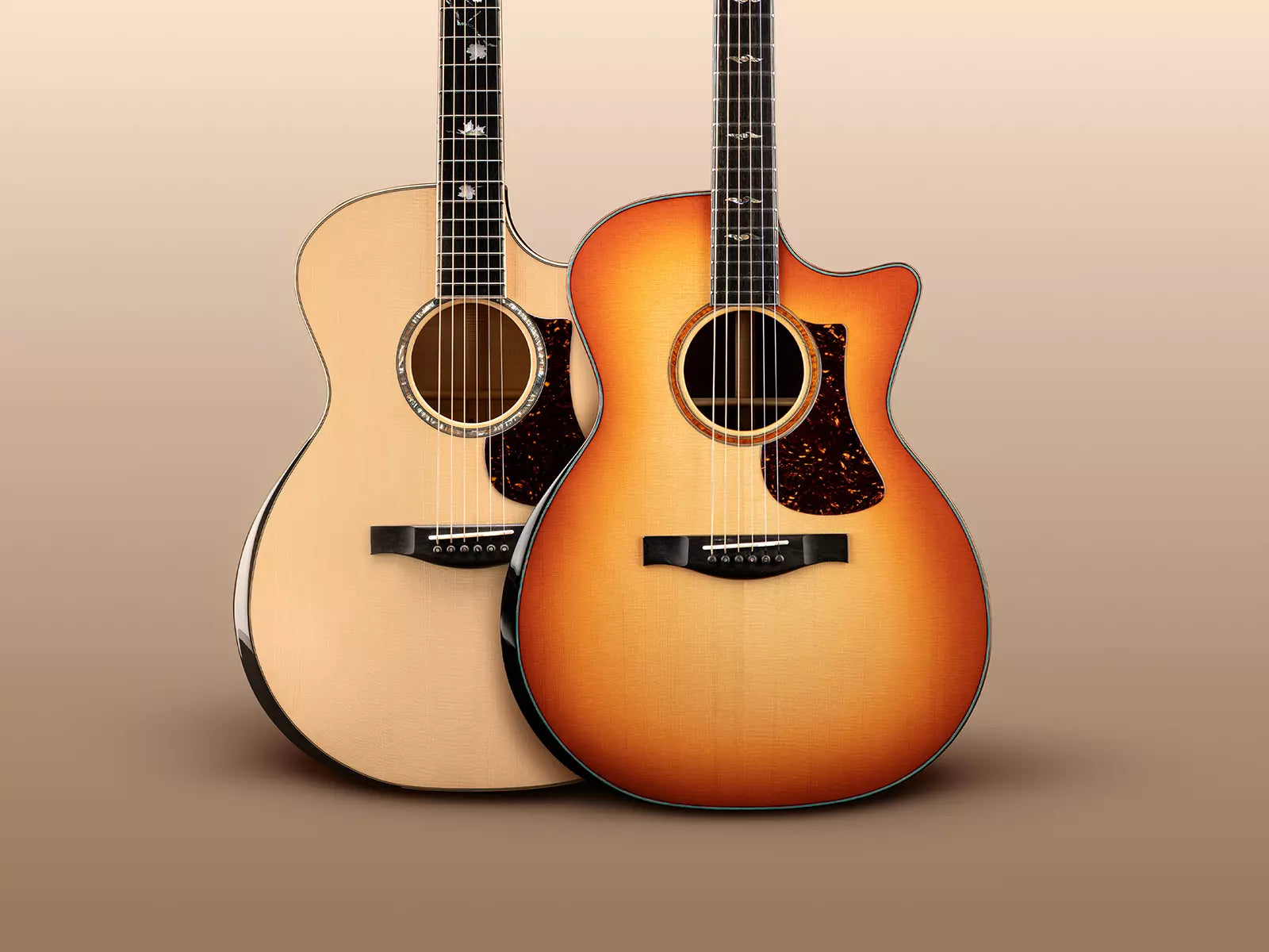 Eastman Acoustic Guitars